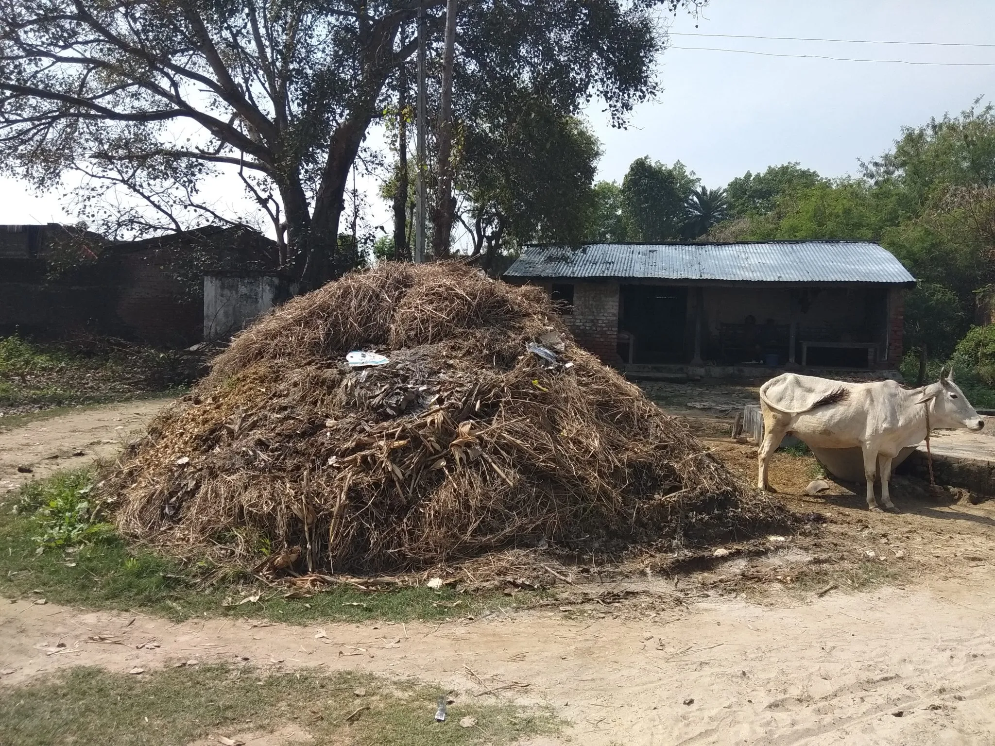 स्वच्छ भारत मिशन को ठेंगा दिखाता संक्रमण बीमारियों को दावत दे रहा एक गाँव