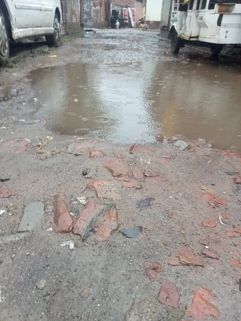 नगर पालिका परिषद की अनदेखी से वार्ड में हो रहा है जलभराव