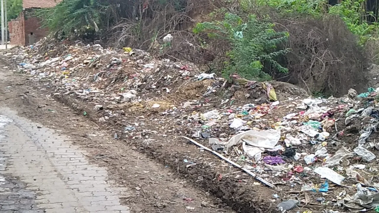 इंटरलॉकिंग मार्ग पर कचरे कूड़े मल मूत्र के फैलाव से पनप रही है सैकड़ों बीमारिया