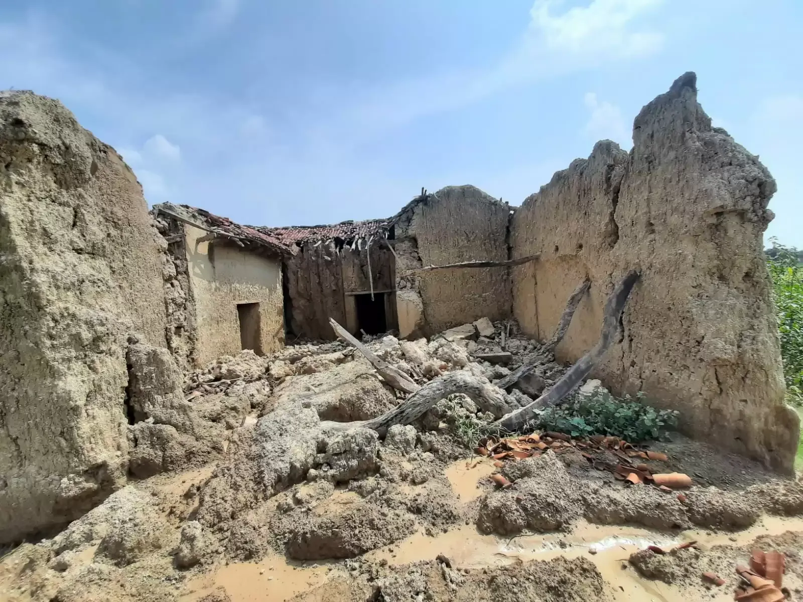 मदद की गुहार 