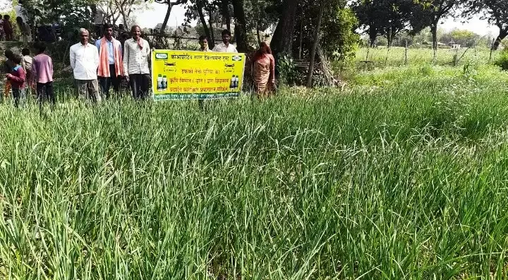 कारडेट फूलपुर के द्वारा क्षेत्र के गडौर  ग्राम के कृषकों के टमाटर एवं लहसुन की फसलों पर