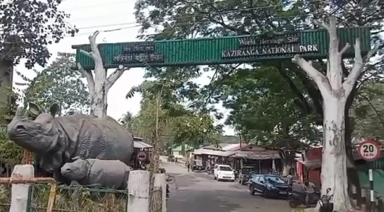 काज़ीरंगा राष्ट्रीय उद्यान में 1 मई से बंद हगा हाथी सफारी