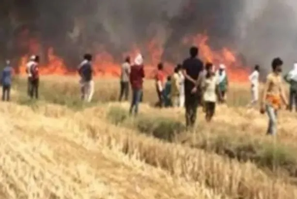 अज्ञात कारणों से महिला कृषक समेत आधा दर्जन किसानों की फसल जलकर हुई राख