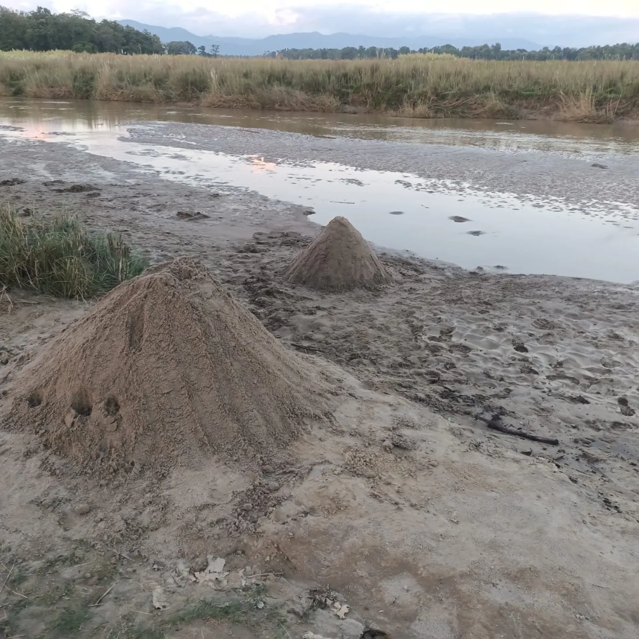 चंद दिन पहले भी पचपेड़वा थाना क्षेत्र से अवैध खनन का मामला आया था प्रकाश में