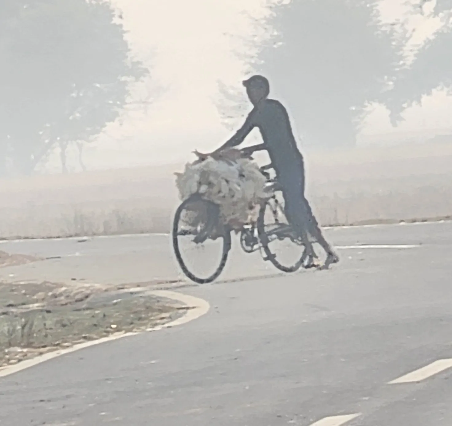 बिना किसी रोक-टोक के नेपाल भेजी जा रही मुर्गे की खेप