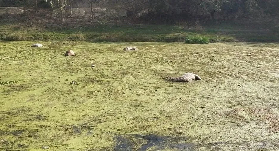 हिन्दू संगठनों ने काटा जमकर हंगामा, मचा हड़कंप