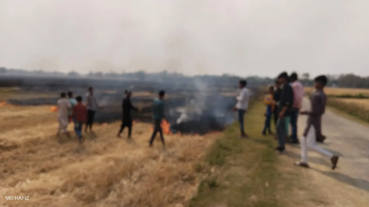 गेहूं के डंठल में लगी आग, फायर ब्रिगेड के मदद से पाया गया आग पर काबू