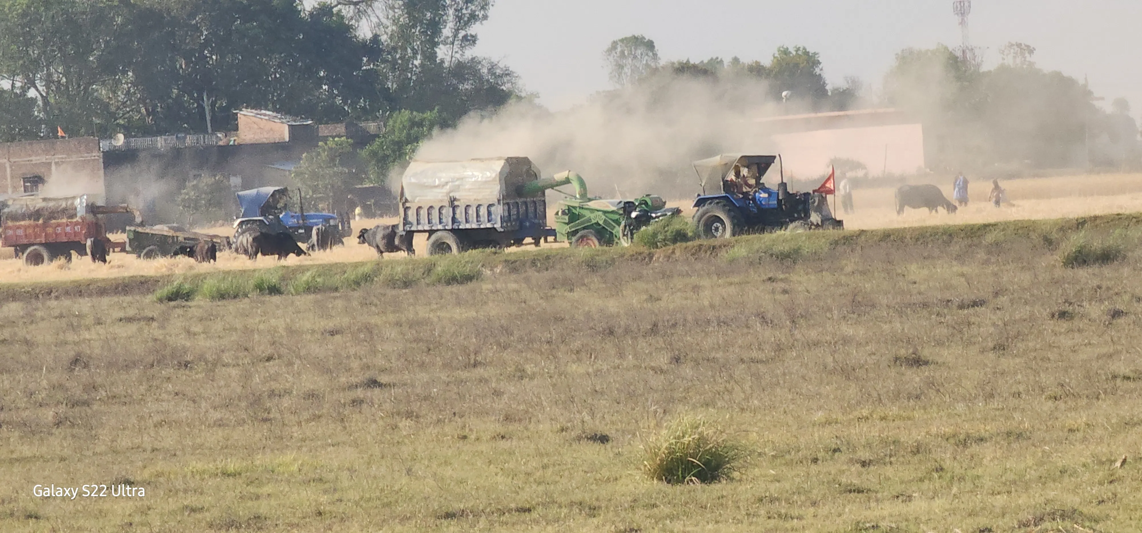 भूसा बनाने वाली हार्वेस्टर मशीन पर 20 अप्रैल तक रोक 