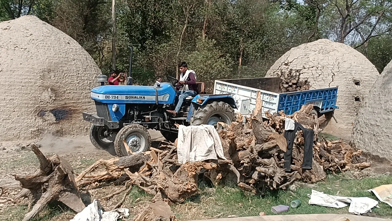 वन दरोगा से मारपीट के बाद वन बिभाग ने की त्वरित बड़ी कार्रवाई