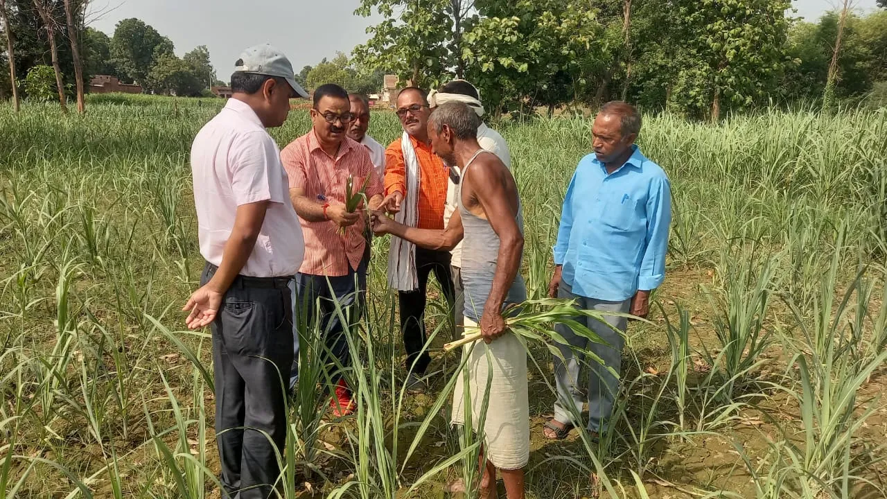 उतरौला नगर क्षेत्र के अन्तर्गत अधिकतर कुआं बदहाली की चपेट में