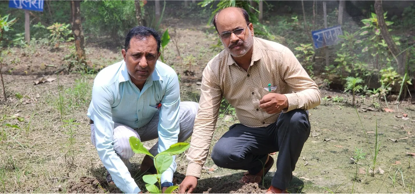 एक पेड़ मां के नाम अभियान के तहत किया गया पौधारोपण