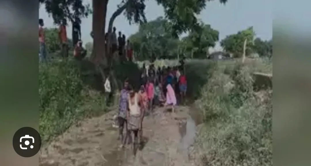 सांड़ का आतंक  खेत की रखवाली कर वापस आ रहे किसान को पटका, हुई मौत