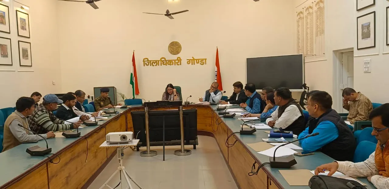 डीएम ने सड़क सुरक्षा समिति की की बैठक, अधिकारियों को दिये आवश्यक निर्देश