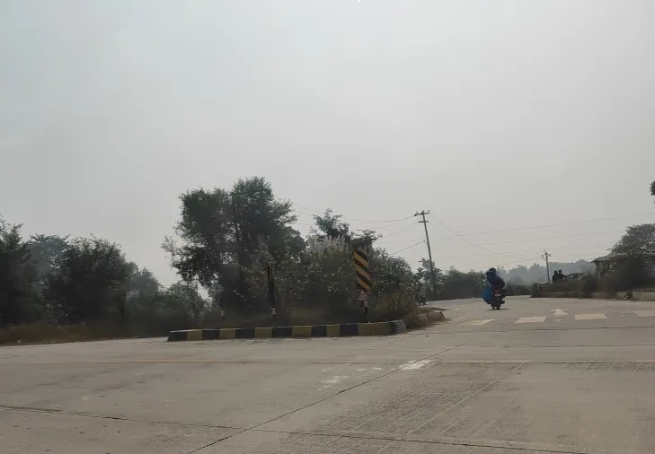 जब उदासीन हैं जिम्मेदार तो डिवाइडर ही क्या पूरा हाइवे दिखेगा जंगलनुमा