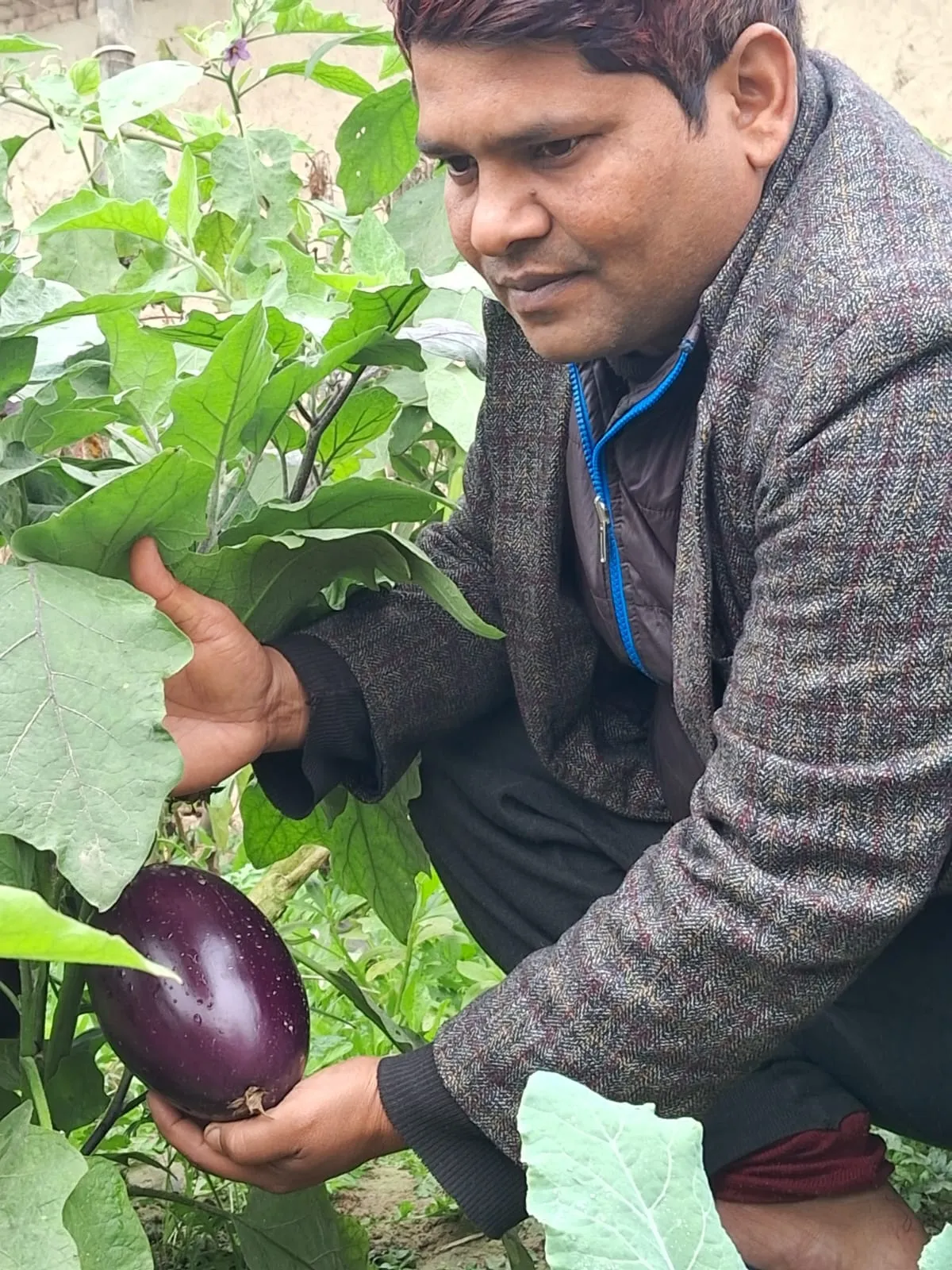 ऑर्गेनिक खेती कर अपनी आय बढ़ा रहे किसान प्रवीण