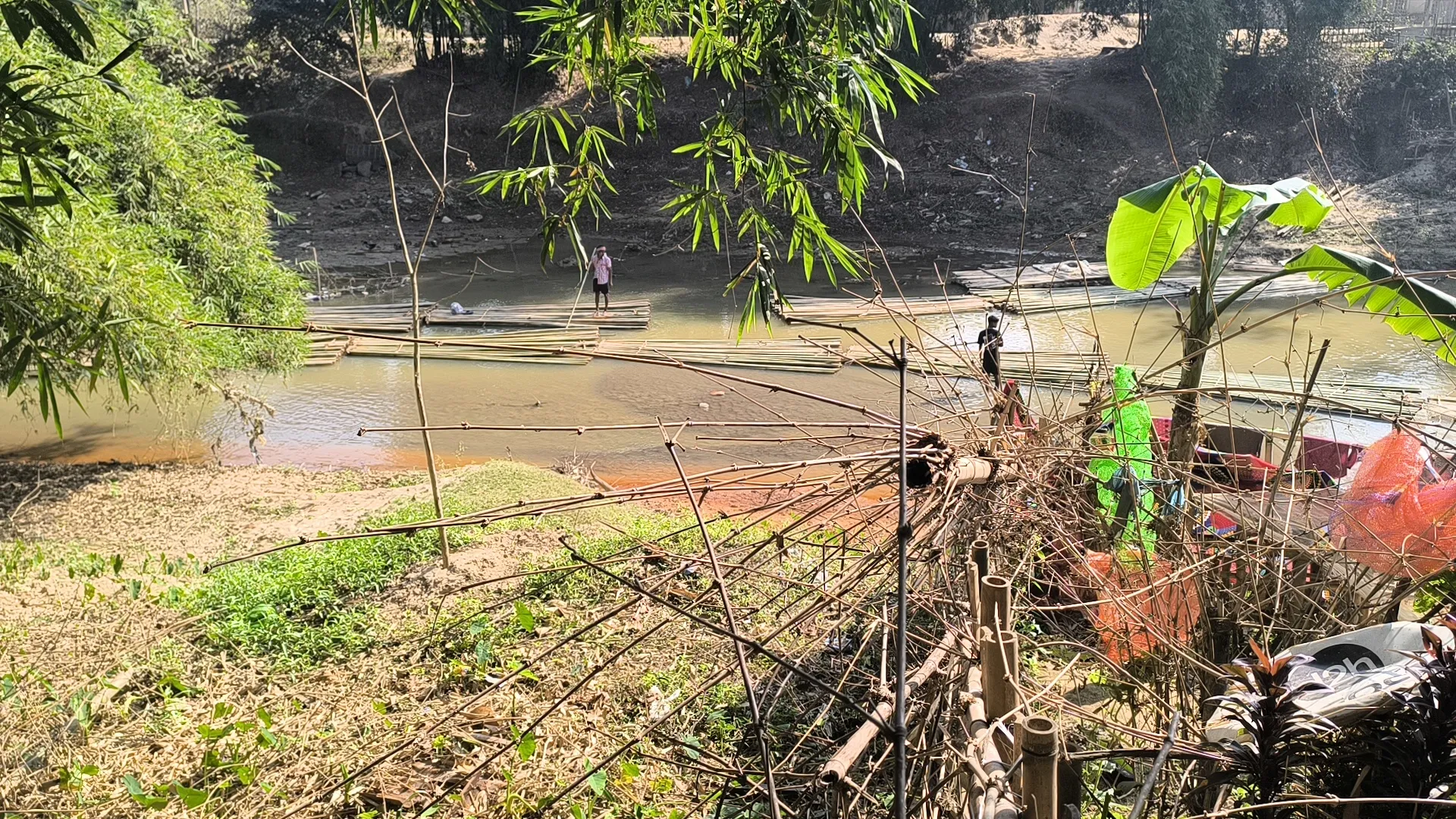 वन विभाग के असम श्रीभूमि जिले के चेरागी रेंज से खुलेआम हो रही बांस की तस्करी! विभागीय कर्मचारी मूक भूमिका में हैं।