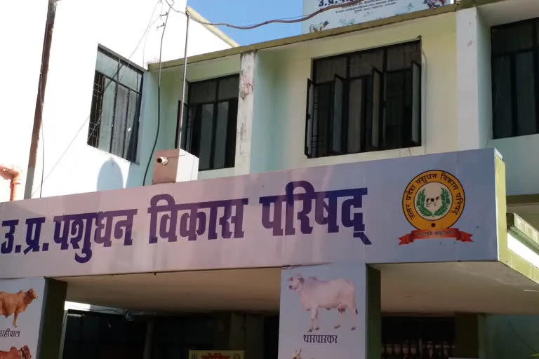 उत्तर प्रदेश पशुपालन निदेशालय लखनऊ द्वारा उपकरणों की खरीद करने में किये जा रहे घोटाले पर विशेष रिपोर्ट