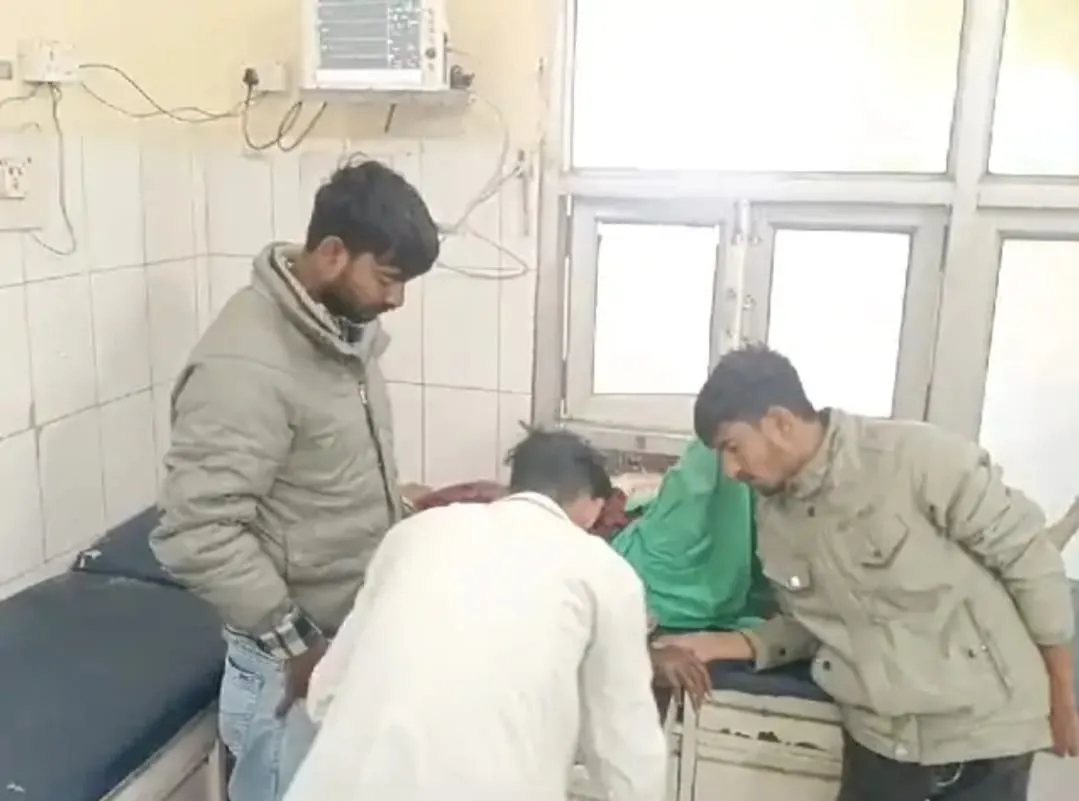 आवारा कुत्ते का हमला, कुत्तों की लड़ाई रोकने गई महिला समेत दो लोगों को नोचा 