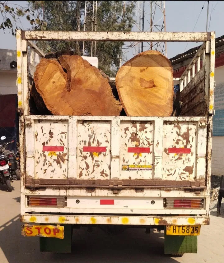  गोला पुलिस ने अवैध लकड़ी कटान का पर्दाफाश किया, पिकअप जब्त
