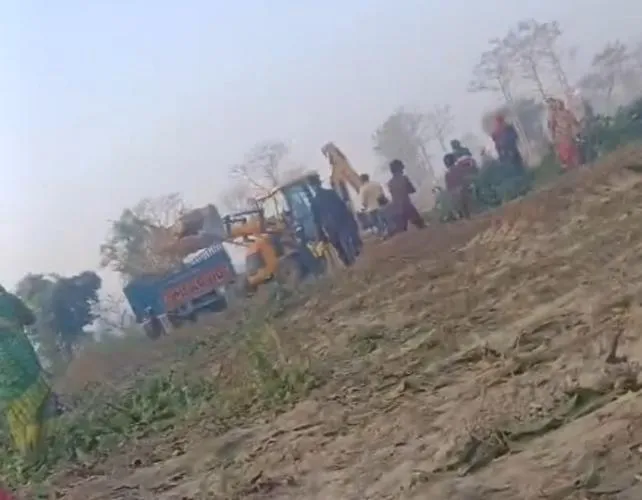 वन रेंज धौरहरा क्षेत्र में लकड़कट्टो ने बगैर परमिट काट डाले 22 आम के पेड़