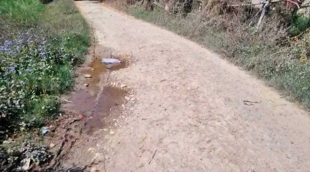  कल्याणपुर पीपरपुर से निकल कर रेवड़ा गांव को जाने वाला संपर्क मार्ग रो रहा है अपनी बदहाली का रोना 