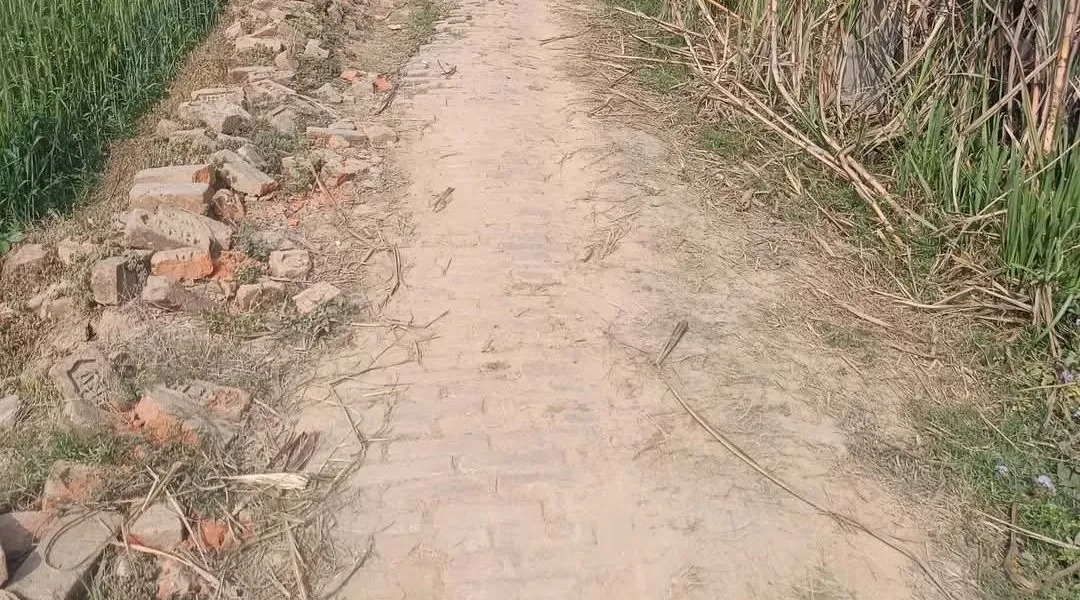 कागजों में निर्माण, जेब में सरकारी धन, कार्यवाही की मांग कागजों में विकास दिखाकर शासन का बजट डकार रहे जिम्मेदार