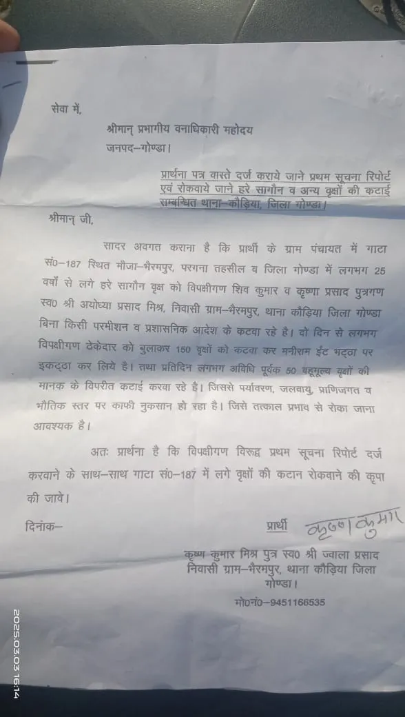 25 वर्षों से लगे हरे 150 सागौन के पेड़ों को कटवा कर ईंट भट्टे पर रखने का आरोप पूर्व प्रधान ने दिया प्रार्थना पत्र 