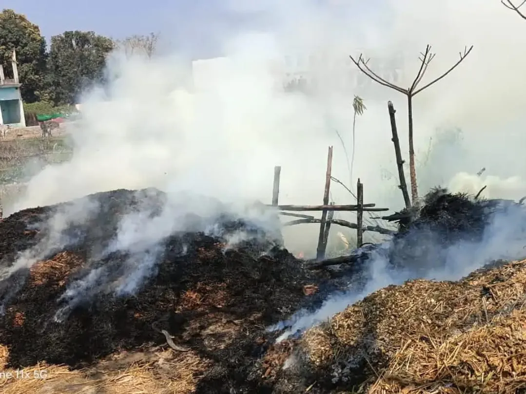 अज्ञात कारणों से पुआल में लगी आग, ग्रामीणों ने कड़ी मशक्कत के बाद पाया आग पर काबू 