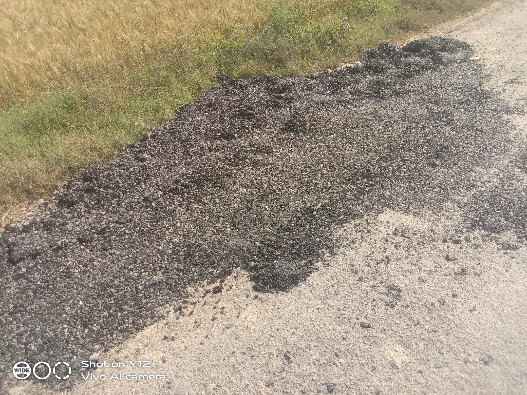 योगी सरकार की विकास कार्यों की पोल खोल रही गड्ढा मुक्त सड़के। 