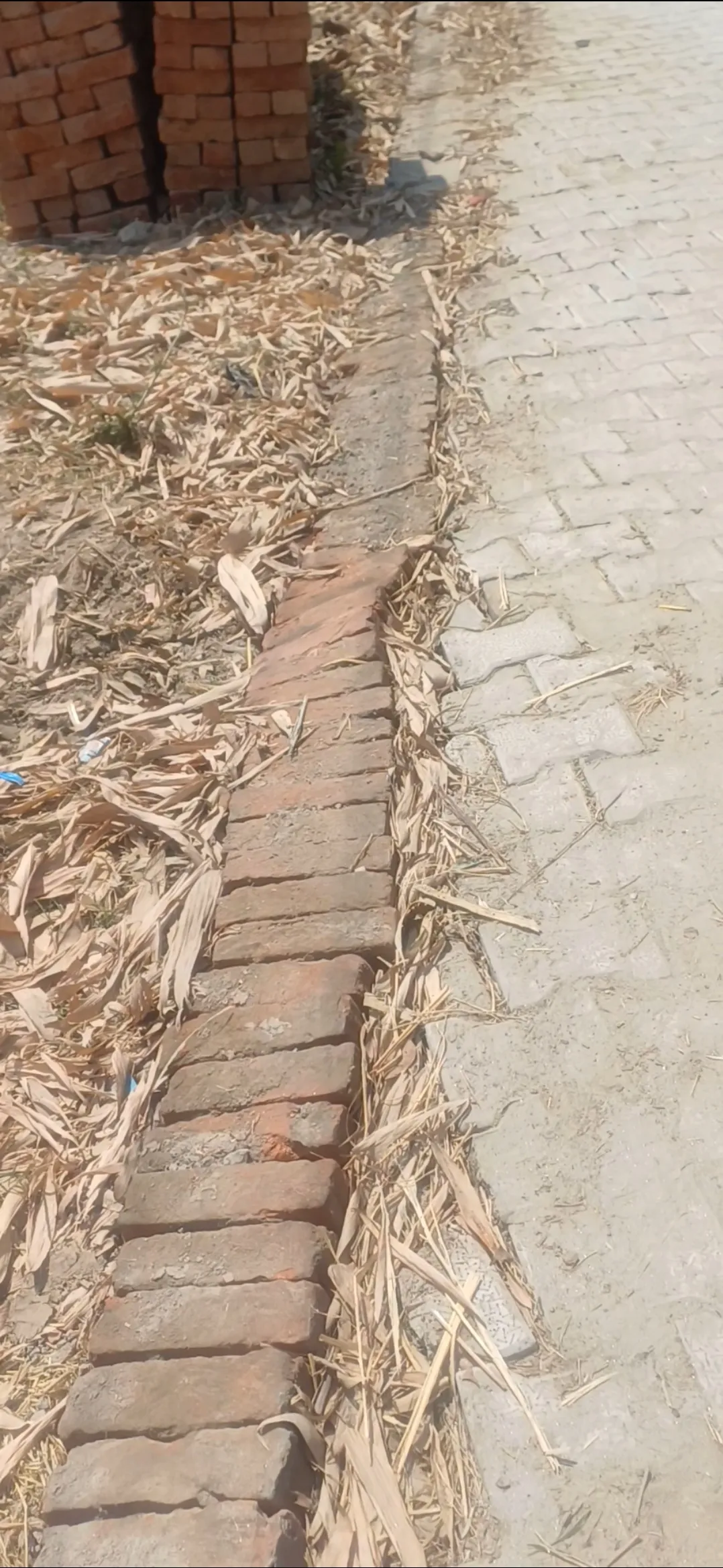 ग्राम पंचायत पिपरी कला में कागजों पर बही विकास गंगा