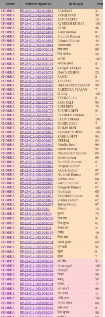ग्राम प्रधान, पंचायत सचिव सहित टी. ए. व रोजगार सेवक की कामधेनु बनकर रह गई मनरेगा योजना