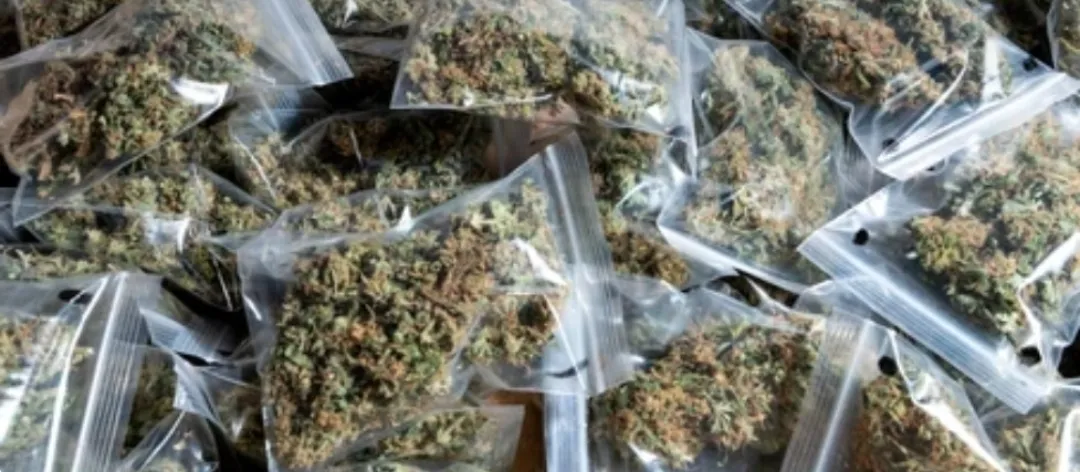 मऊ थाना प्रभारी के सहयोग से खुलेआम बिक रहा गांजा, नशे की गिरफ्त में युवा पीढ़ी