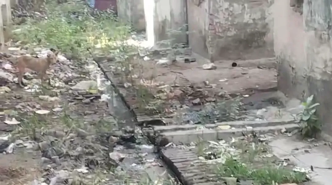 गंदगी और बीमारियों के बीच जी रहे हैं लोग, प्रशासन की नाकामी पर उठ रहे सवाल