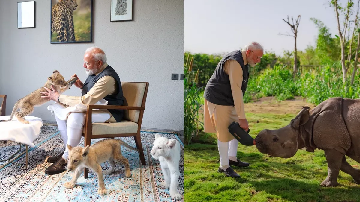 वनतारा के शेर और राजनीति के छावा