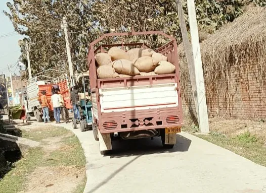 तमाम प्रयासों के बाद भी नहीं थम रही खाद्यान्न की तस्करी