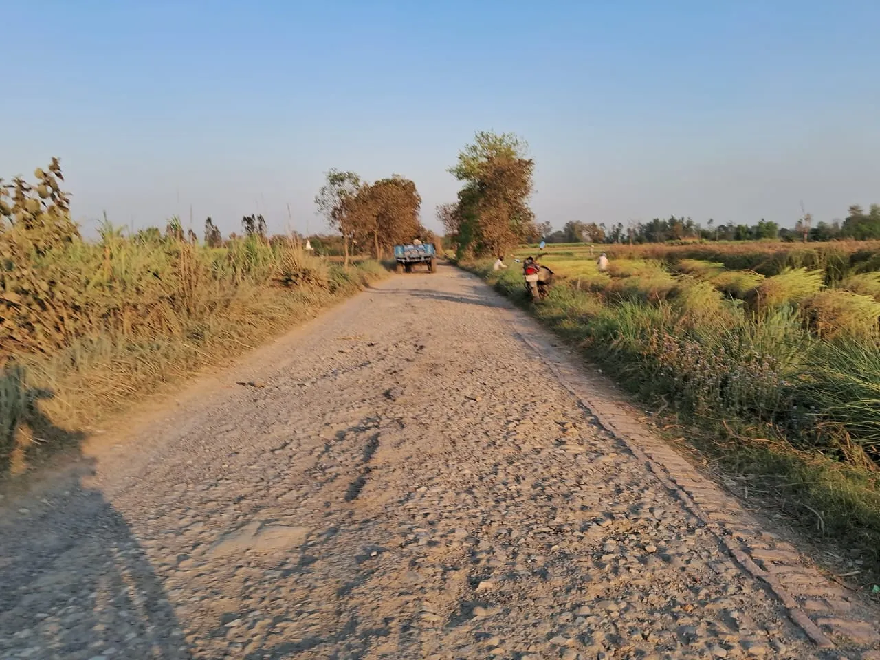 टूटी सड़कों पर हिचकोले खाने को मजबूर हैं देवरी गांव के लोग