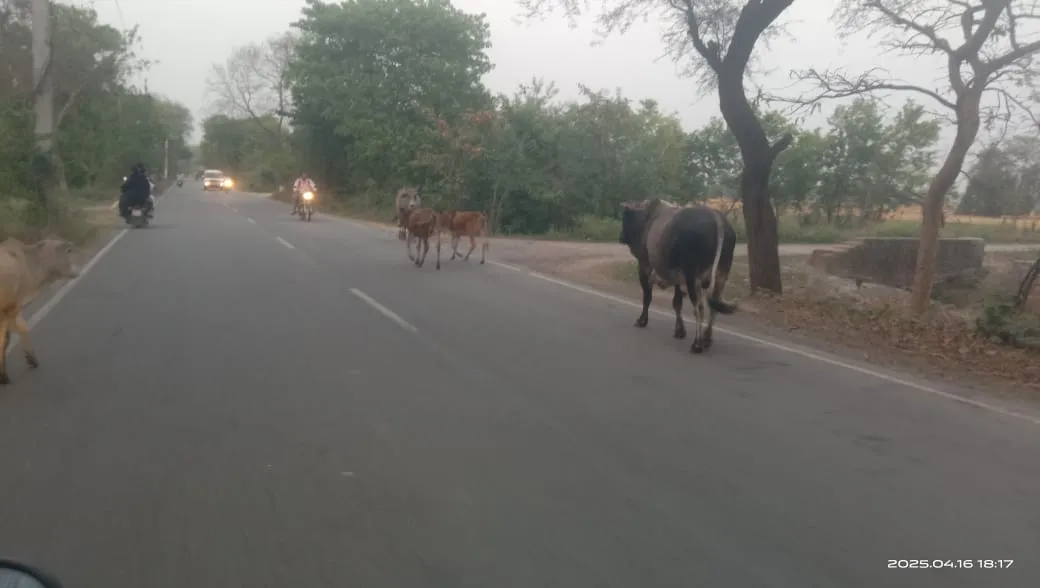 ग्राम पंचायत परसा महड़ौर में नवनिर्मित अन्नपूर्णा भवन एवं पंचायत भवन का डीएम ने किया उद्घाटन