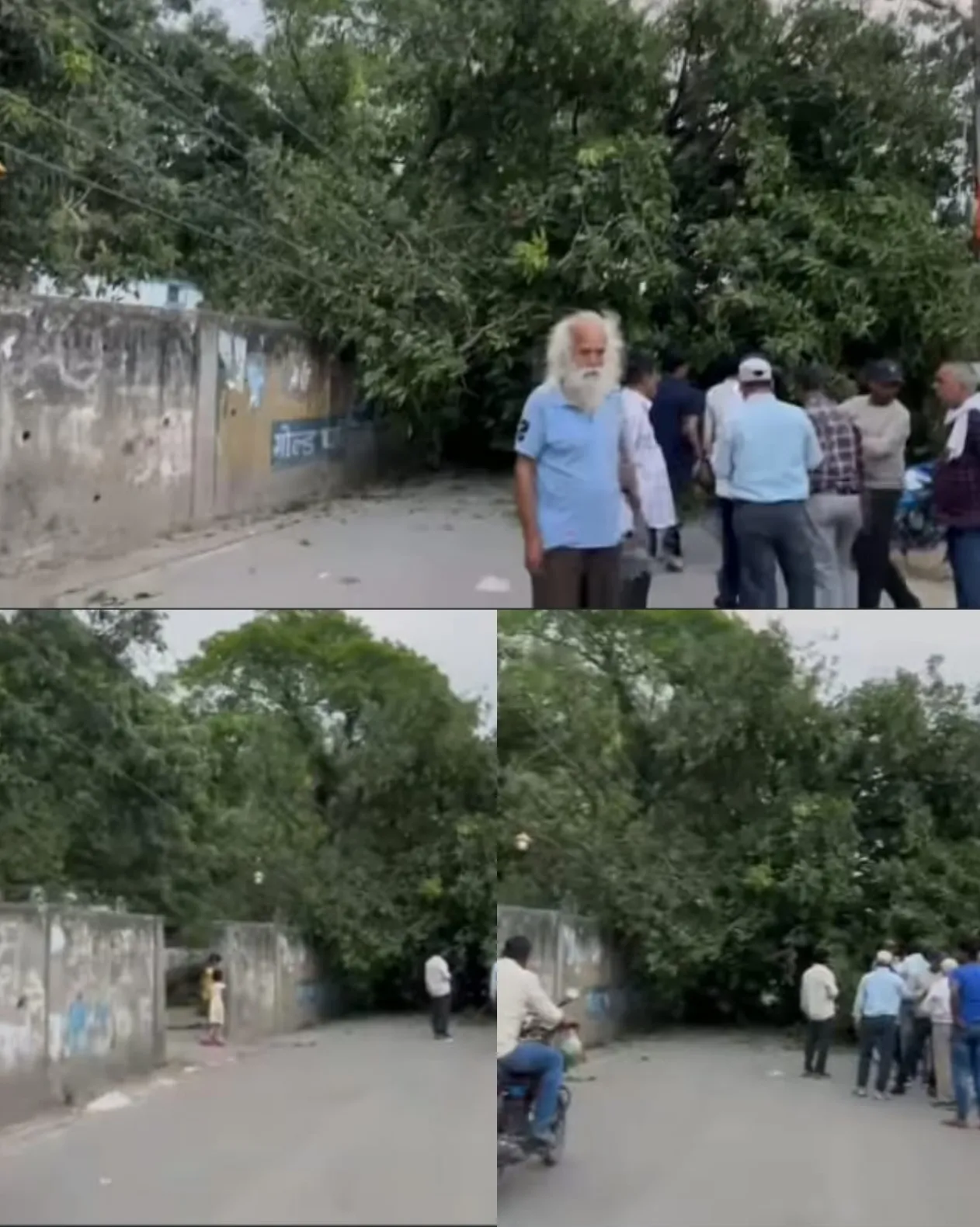 ओबरा वीआईपी रोड पर आम का पेड़ गिरने से यातायात बाधित, जनजीवन अस्त-व्यस्त