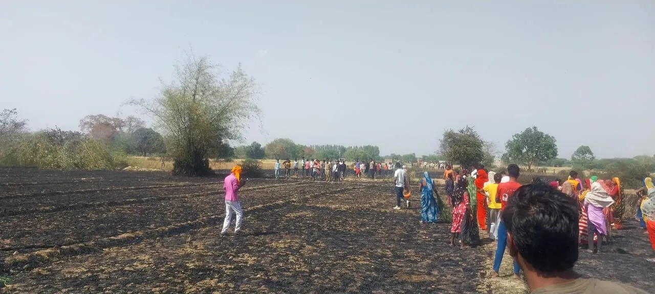 शार्ट सर्किट से गेहूं की 15 बीघा फसल जलकर राख