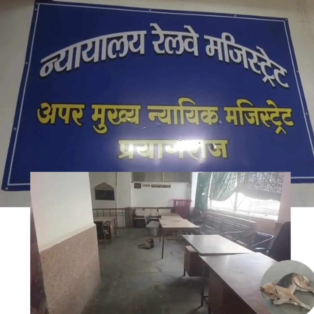 प्रयागराज जंक्शन अपर मुख्य न्यायिक रेलव मजिस्ट्रेट कार्यालय में कुत्तों का बोलबाला ।