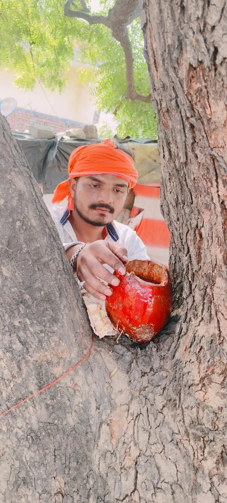 विकासार्थ विद्यार्थी का सकोरा अभियान ओबरा में पक्षियों के लिए लगाए जलपात्र