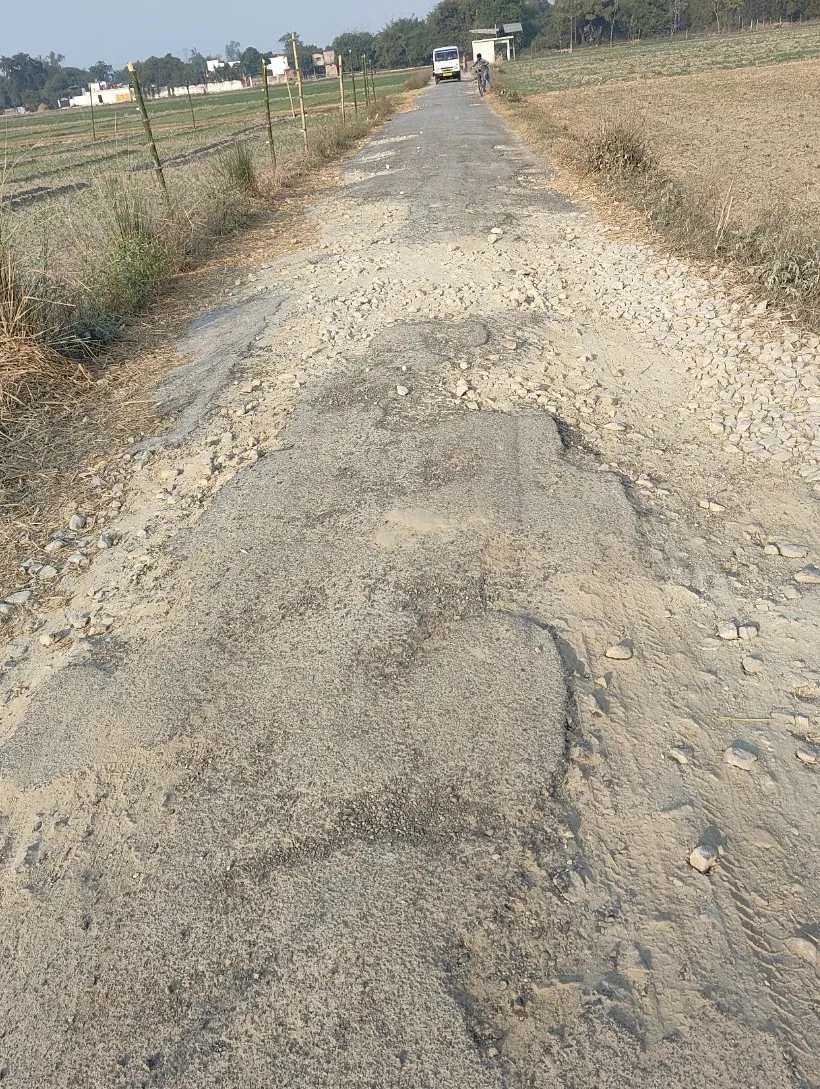 IMG20241214151318_copy_1013x1351