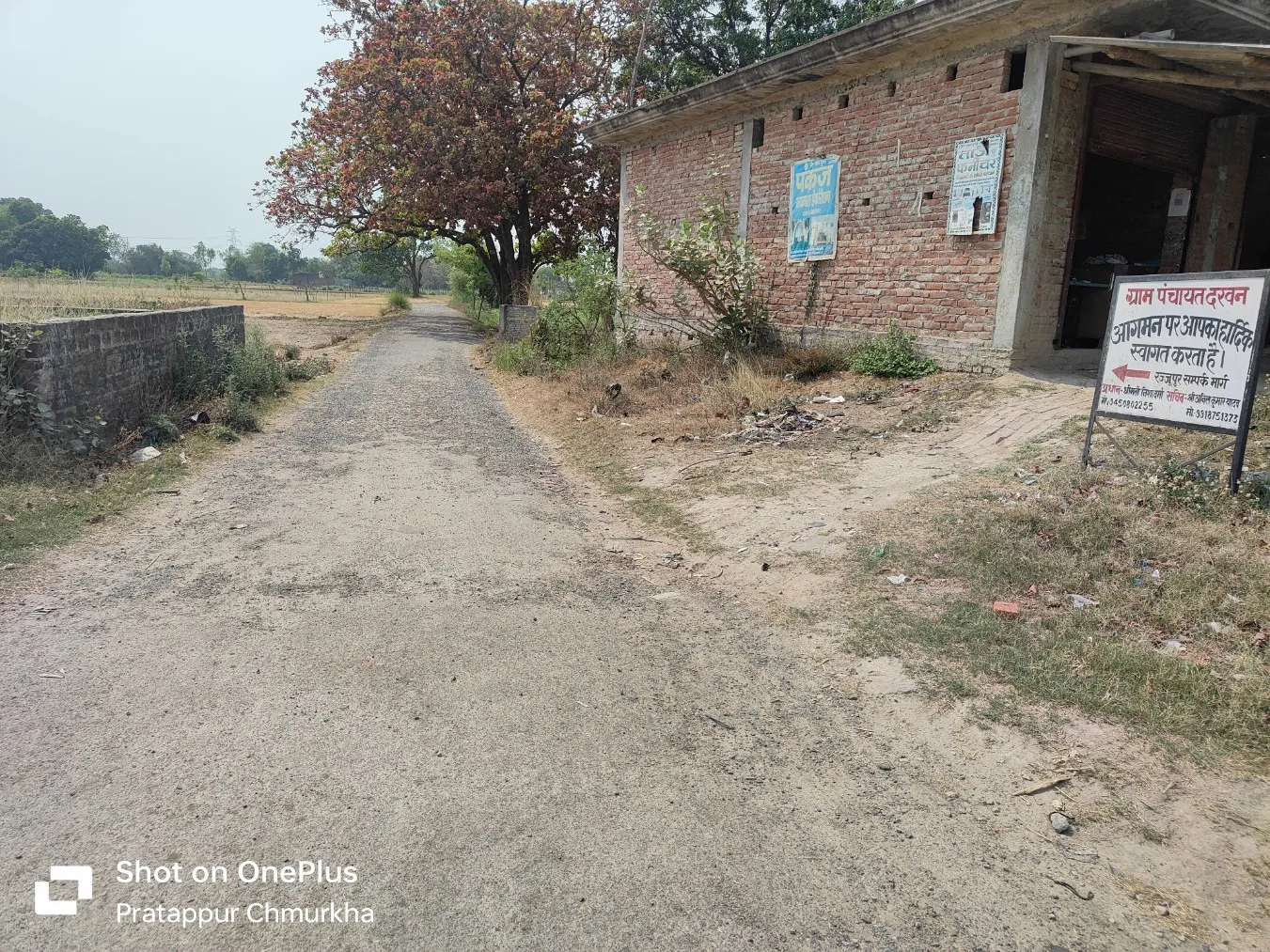 जिलापंचायत की सड़कों पर चलना निहायत जोखिम भरा कार्य