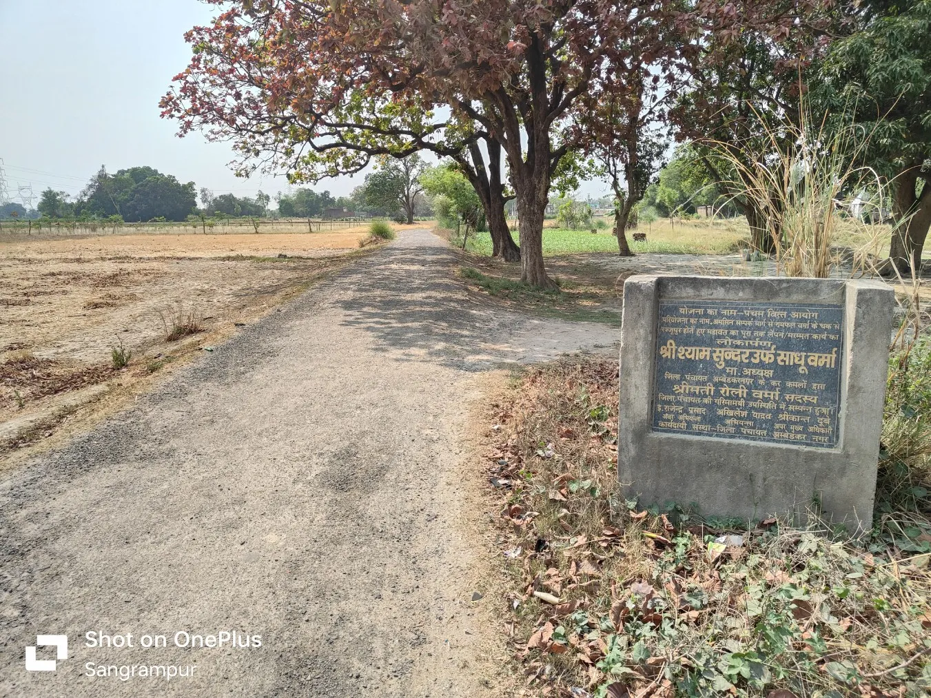 IMG20250502142617_copy_1351x1013