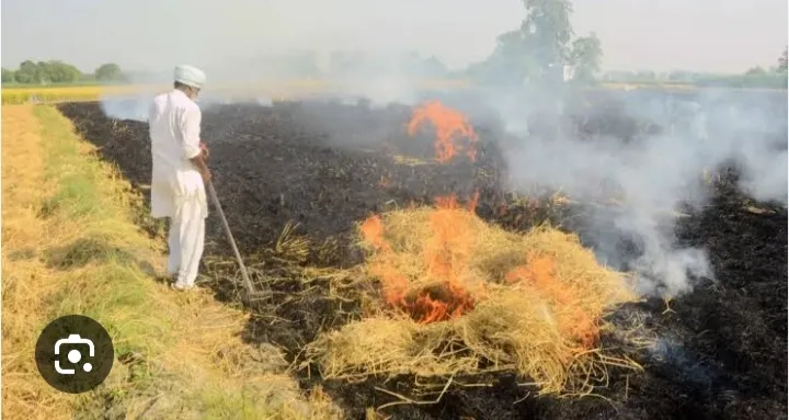 प्रदेश के किसान फसलों के अवशेष जलाएं नहीं बल्कि खेत में सड़ाएं, भूमि को बनाएं उपजाऊ
