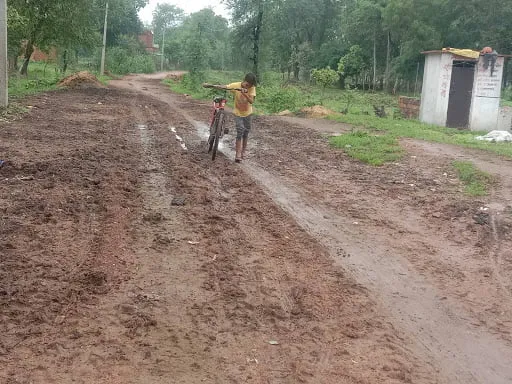 शहडोल के 41 स्कूलों में दलदल और दुश्वारियों के बीच होगी पढ़ाई: इस साल भी नहीं बनी व्यवस्था