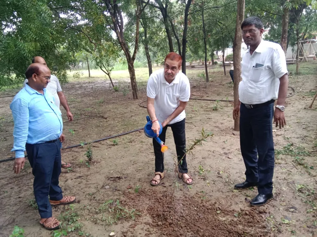 वन महोत्सव कार्यक्रम के तहत जिलाधिकारी ने किया पौधारोपण