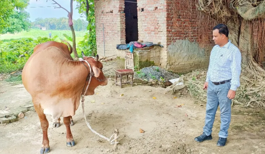 स्वदेशी उन्नत नस्ल के गौ-पालन हेतु 80 हजार से 31.25 लाख तक अनुदान, आवेदन प्रारंभ 