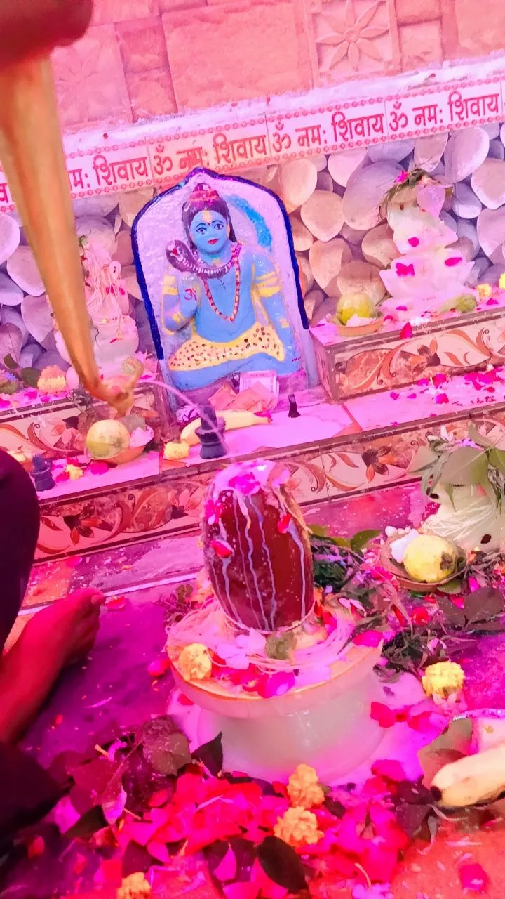 ओमेश्वर महादेव मंदिर की प्राण प्रतिष्ठा के साथ धूमधाम से मनाया गया श्रावण मास
