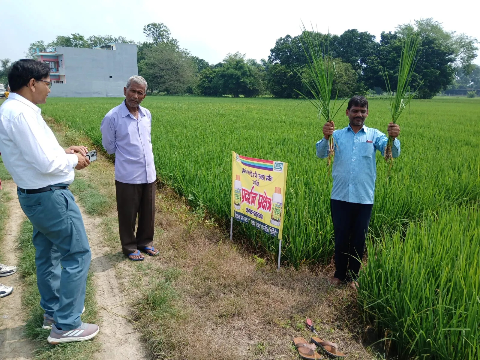 नैनो से उर्वरकों की खपत कम और फसल को पोषक तत्व अधिक मिलते हैं